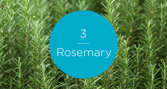 12267-7 Herbs-Rosemary-560x300_numbered.png