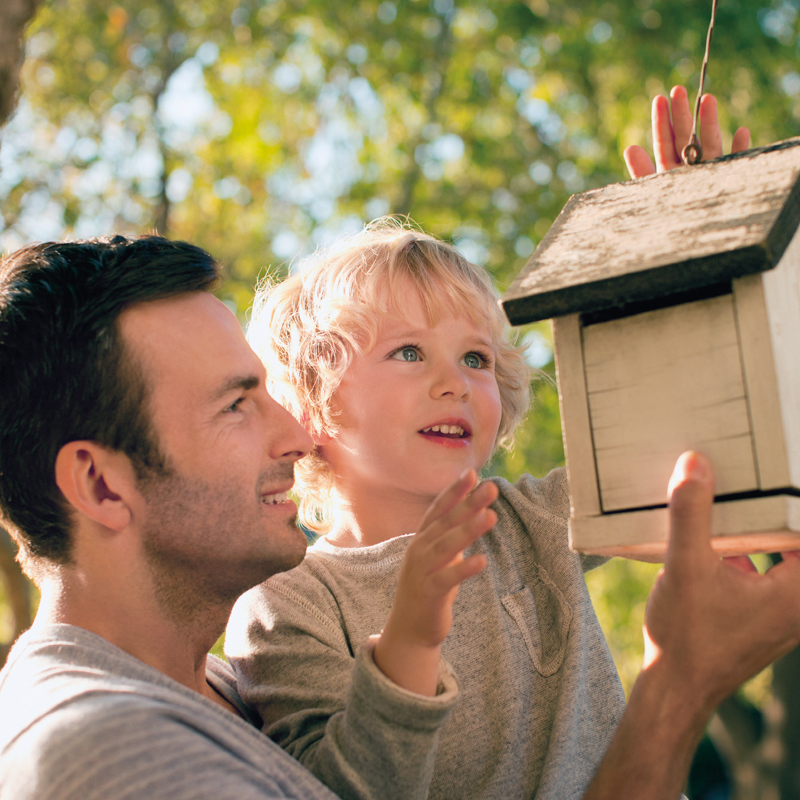 dad-and-kid-with-birdhouse-800x800.png