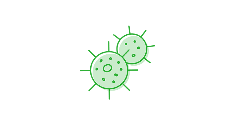 germ-icon-752x400.png