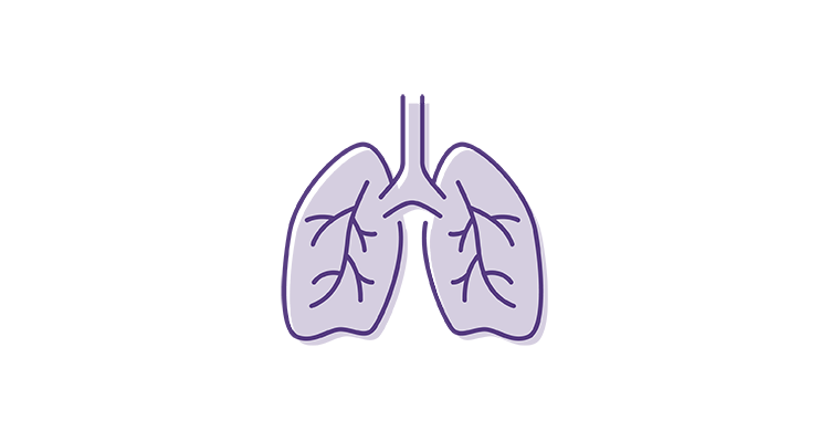 lungs-icon-752x400.png