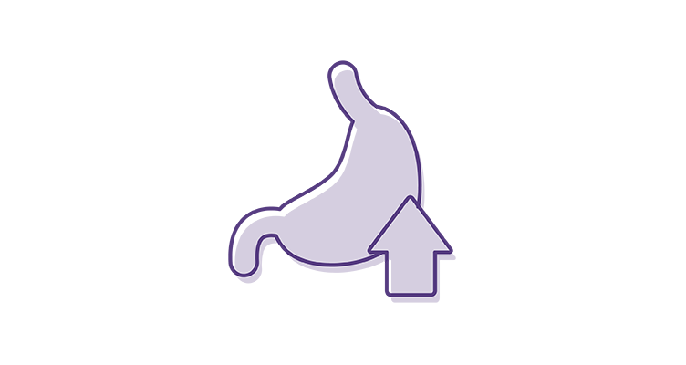 gut-health-icon-752x400.png