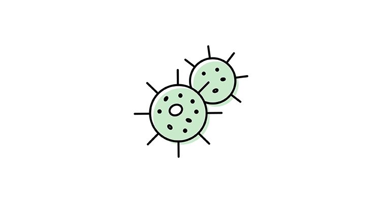 germ-icon-752x400.webp