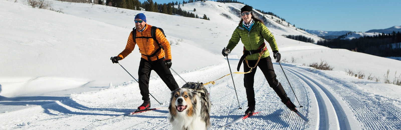 two-people-skijoring-1600x522.webp