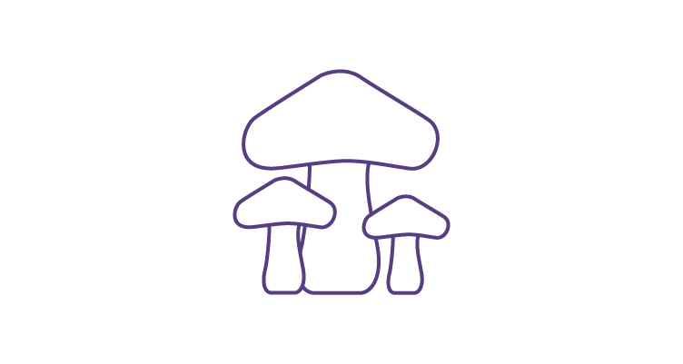 mushroom-icon-752x400.webp