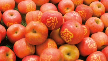 apples-352x200.jpg