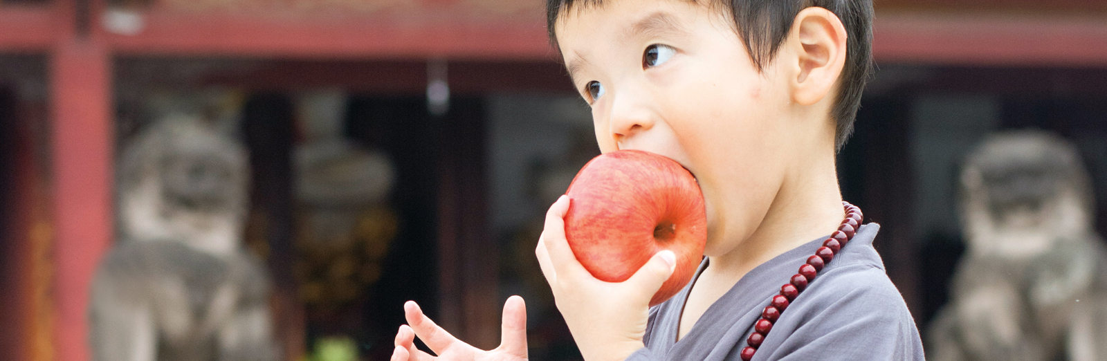 boy-eating-apple-1600x522.jpg