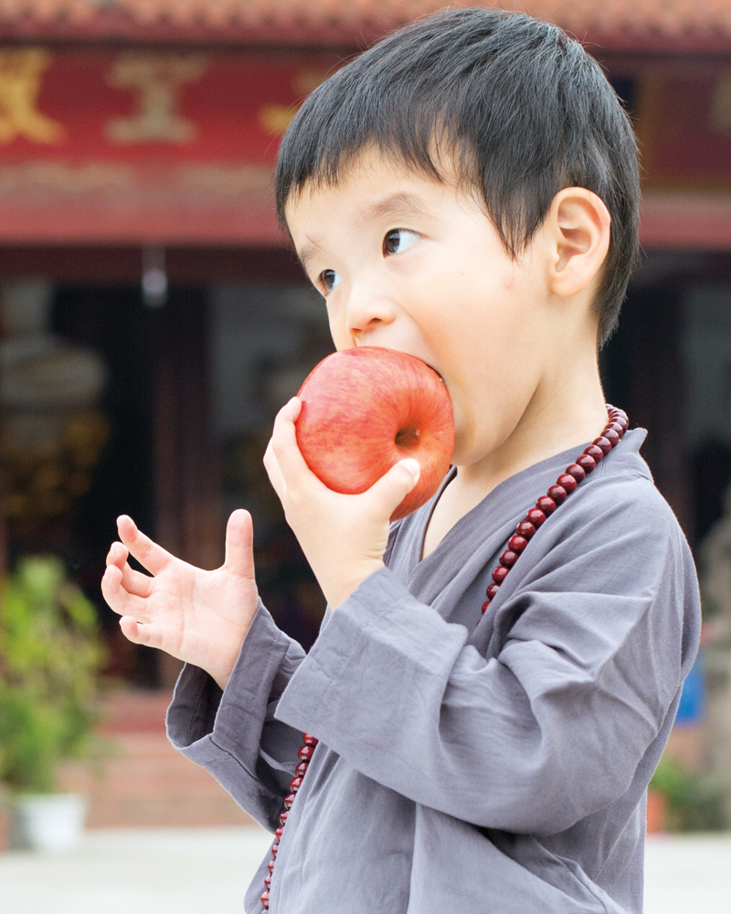 boy-eating-apple-800x1000.jpg